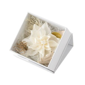 t[AW XNGA{bNX S NC F-3512yz