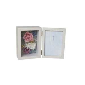 t[AW At[ [YsN F-2564yz