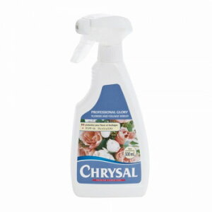 �_�������I�G���g���[�Ń|�C���g5�{�^�N���U�[�� �N���U�[�� �t���b�V���~�X�g 500ml�y���������z