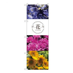 N̂ڂ@ t[^S KMN@W600×H1800mm@81816yz