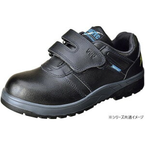 ~cE}@SCƌC@Z[tebNNo.50W N 25.5yz