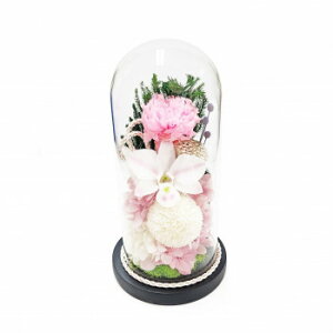 �������p(����)�@�K���X�h�[���A�����W�����g�@�v���U�[�u�h�t�����[�@����(�݂Â�)�@C35720�y���������z