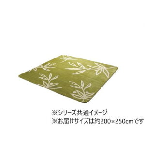 O J[ybg 3 􂦂 ԕ [tO[ 200×250cm 1380000000521yz