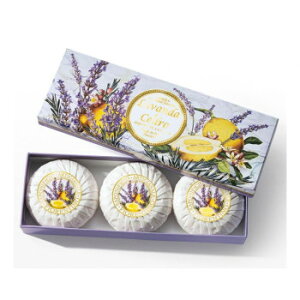 FIORENTINO tBIeB[m x_[`Fh 3yz