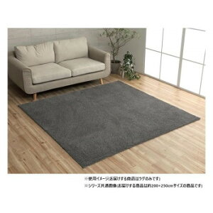 �~�b�N�X�p�C�� ���O ��3�� ��200×250cm �z�b�g�J�[�y�b�g�Ή� �O���[ 3985439�y���������z