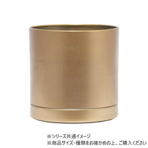 MC~^eco|bgMt S̓GR AGL 6@3200030AGLyz