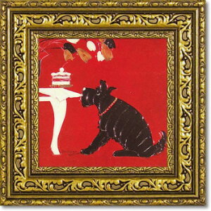 [p[ h~QX A[gt[ uv STCY DO-04322yz