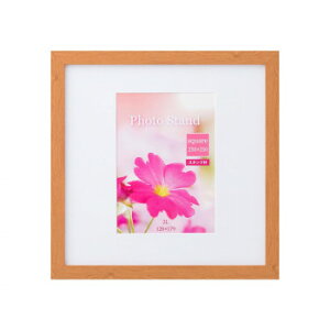 ʐ^ v[k XNGA 250p i` 33S00602501yz