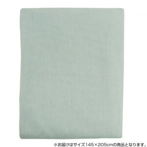 zӂƂ 100J₷ vt~ӂƂJo[(D) 145×205cm pE_[O[ 221687yz