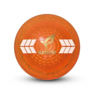 HH PGGA{[ IW PH3841-54yz