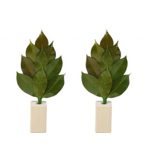 AK {vU[uh S 嗧ăZbg ST-002yz