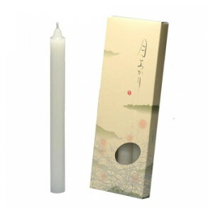 CX [\N 8 4{ 131-10yz [֑Ήi