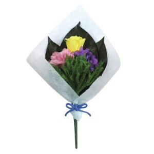 p()@vU[uht[@ق̂@J[l[V/sN@@C20420yz