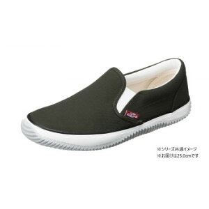 ���R�S���H�Ɓ@��ƌC�@ ���X�e�B���O�u�� LB-011�@25.0cm�J�[�L EE60100�y���������z