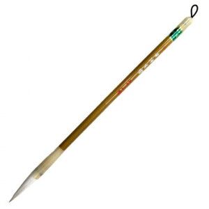  M Mw  A041289yz [֑Ήi