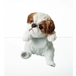 hbOI[ig(V[Y[)@14202yz