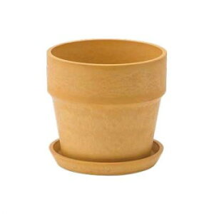 A[ovc|bg \bh  81001yz