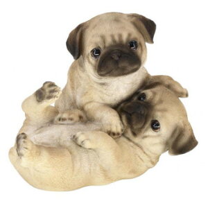 hbOI[ig pO yA 14258yz