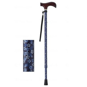 EFt@ CtXebL Lk^(X^Cv) _[Nu[t[ 009714yz