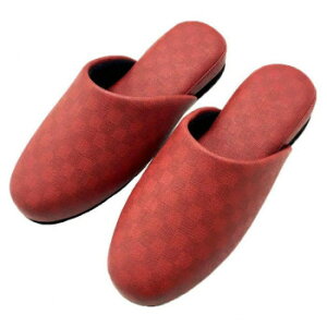 ZR[ FEEL FOOT `FbJ[ Xbp MTCY 25cm@bhE780682yz