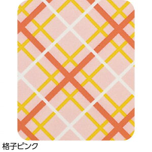 PAt@bV HpGv iq sN 3891812yz [֑Ήi