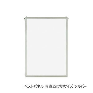 A.P.J. �A���~�t���[���E�A���~�p�l�� �x�X�g�p�l�� �ʐ^�l�c�؃T�C�Y(243×294mm)�@�V���o�[�E0020188038�y���������z