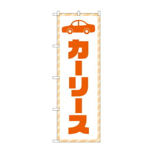 ̂ڂ J[[X GNB-4516yz