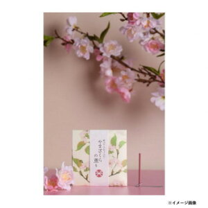 { R̂ӂ킯 ܂̌O XeBbN12{ 38621yz