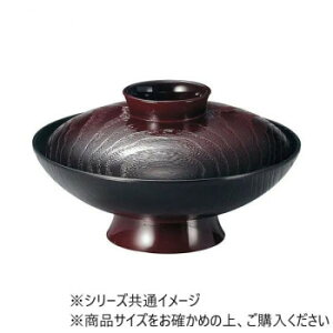 Ntg@6˖ێϕo  33100630yz