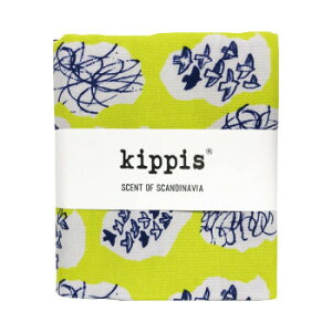 kippis �L�b�s�X �I�b�N�X�J�b�g�N���X �_/Pilvi 61B/�C�G���[ KPOK-61B�y���������z ���[���֑Ή����i