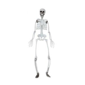 �R�X�`���[���@�R�X�v���ߑ��@���g��[���@�K�C�R�c�@�͌^�@90cm�y���������z