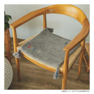 �O�����X�^�C�� �A���J�}�b�g GY 40x40cm �uGSCD802910�v�y���������z