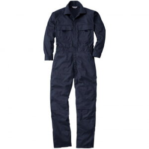 Ka 9800 Ȃ LLTCY lCr[(1) SOWAyz