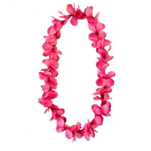 �v�������A���C�@�z�b�g�s���N 703/61�y���������z