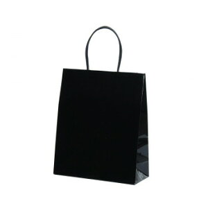 STB�@�v���e�B�@�� 10�� XZK00806�y���������z