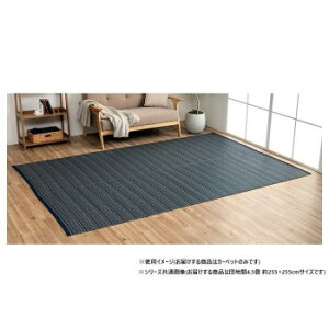 ���{�� �􂦂邢�����J�[�y�b�g �l�C�r�[ �c�n��4.5�� ��255×255cm 1090031190402�y���������z