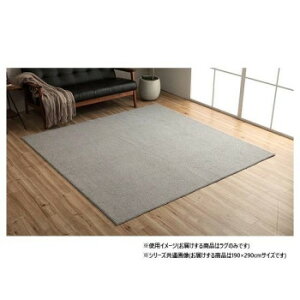 ���[�v�p�C�����O �O���[ ��4�� ��190×290cm �z�b�g�J�[�y�b�g�Ή� 1280700131403�y���������z