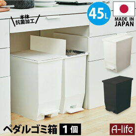 ペダル 抗菌 ゴミ箱 45L 1個 日本製 JAPAN ホワイト ブラック おしゃれ ふた付き キッチン 分別 スリム 分別ごみ箱 45リットル ペール リサイクル リサイクルボックス ダストボックス 洗える ごみ箱 キッチン収納 シンプル a-life エーライフ