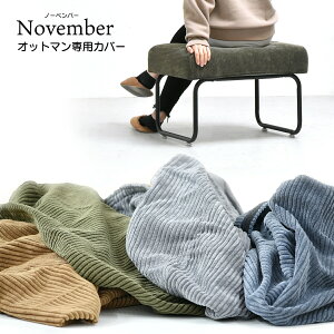 NOVEMBER@Ibg}pւJo[ NVCV0126 Be[W JWA p^ X`[ N[ pJo[ uE O[ O[ u[ R[fC