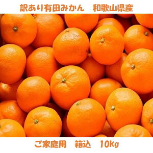 󂠂 ʂ݂ a̎RY ƒp  10kg