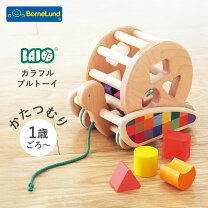 楽天市場】バヨ (bajo) カラフルプルトーイ baj37840の通販