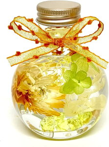 yNICHIFLROzj`t n[oE j o^C zCgf[ vU[uht[ a 蕨 2way{g iVgX) v[g ̓ \ a hV̓  rO 