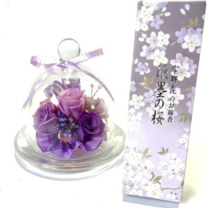 NICHIFLRO j`t vU[uht[    ~ ފ  ͂Ȃ { KXh[p[v Zbg (p[v, F)