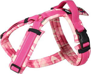 Hakusan nNT [n[lX  n[lX Y^ xg S (sNJ)