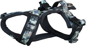 Hakusan nNT [n[lX  n[lX Y^ xg M (Jt[W)