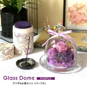 vUƂZbg[ p[v ] vU[uht[ [ NICHIFLRO ] j`t    ~ ފ  ͂Ȃ { KXh[ p[v aV ybg { ̓ 