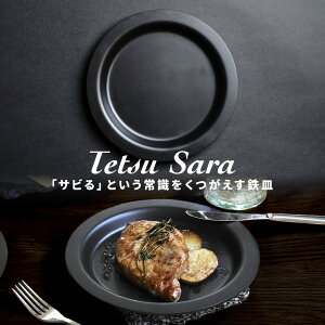 TrȂSM Tetsu Sara [ Tetsu ] ecT vXS Lv S { q IHΉ r  tCp  AEghA BBQ  Kтɂ `bJߏ KXR IH  Y I