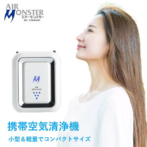 gыC@ C@ PM2.5 ECX ׋  }CiXCI | USB[d AIR MONSTER GA[X^[