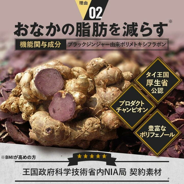 楽天市場】【 Wバスター 1袋 】 機能性表示食品 尿酸値を下げる お腹の 