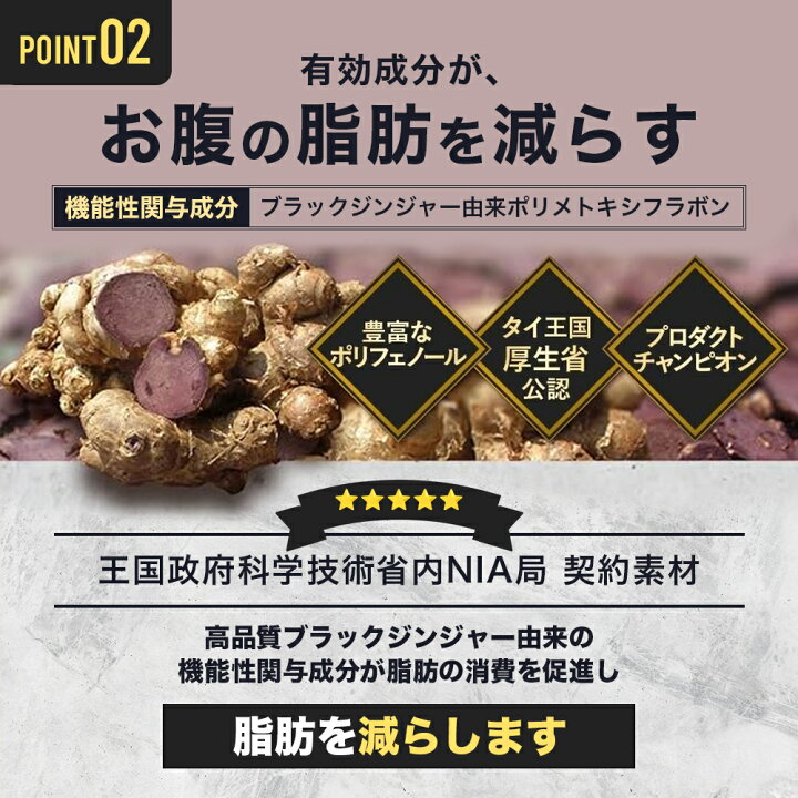 楽天市場】5％OFF+P5倍！【 Wバスター 1袋 】 機能性表示食品 尿酸値を 